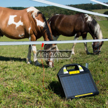Kit solaire 12 W de VOSS.farming : boîtier antivol + électrificateur de  clôture électrique de 12 V GreenEnergy + accessoires